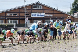 37号_JAあつぎ夢未kids (2).jpg