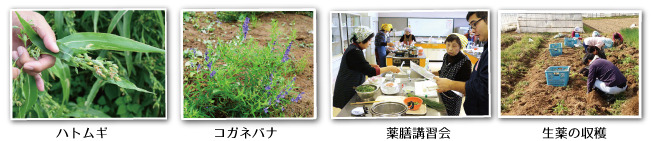 涌谷町生薬まちづくりの会 (3).jpg