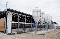 voice37_13p03.jpg