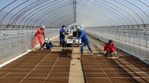 1604_合田農場05.jpg