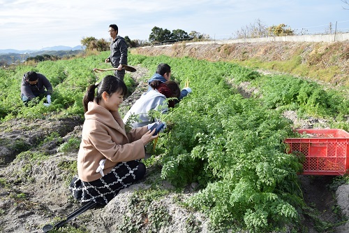 181216_淡路島04.jpg