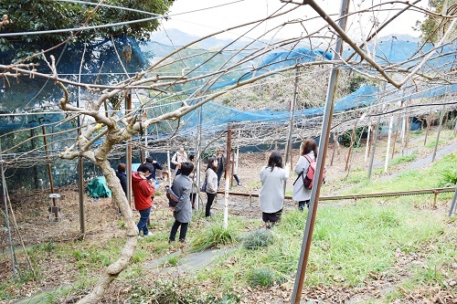 190223_静岡05.jpg