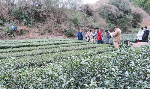 190223_静岡09.jpg