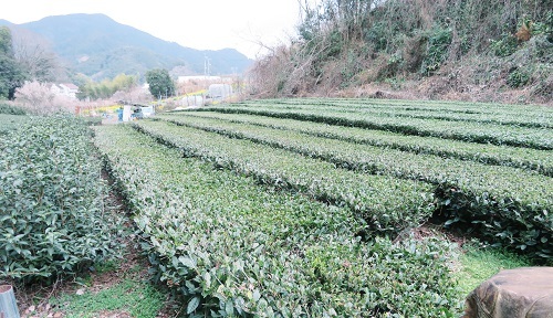190223_静岡10.jpg