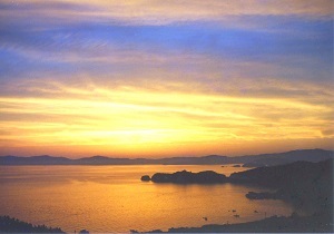 真穴_みかん畑(2).jpg