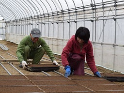 150417_合田農場6.jpg