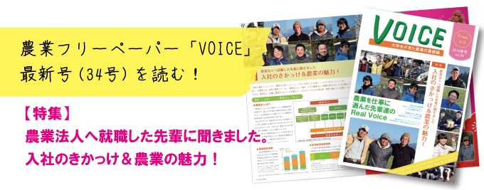voice34号.jpg