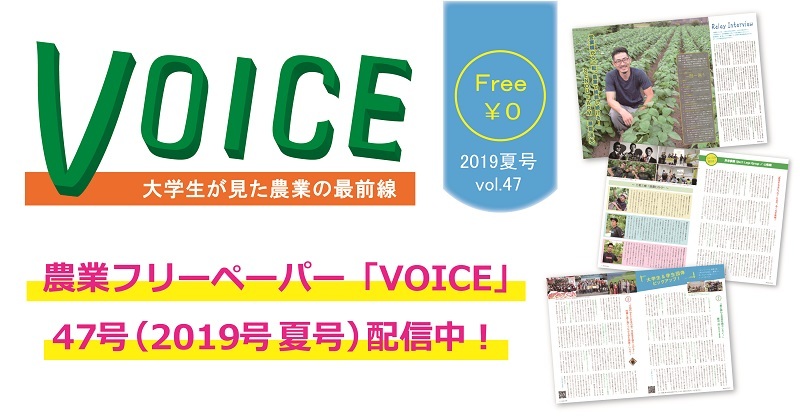 voice47.jpg